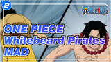 ONE PIECE
Whitebeard Pirates MAD_2