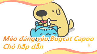 Mèo đáng yêu Bugcat Capoo|Tôi cũng muốn loại chó này