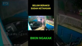 MALING APES BELUM BERAKSI SUDAH KETAHUAN #shorts