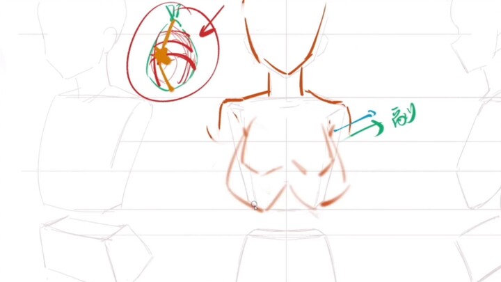 Are the two circles the chest? 1 minute to teach you how to draw a real water balloon!