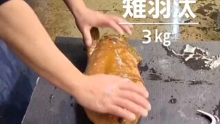 Phương pháp giết cá của Nhật Bản: chạm vào lông cá sẽ không làm bạn sợ