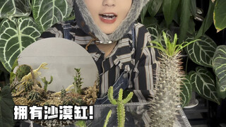 植物爱好者日常｜🌱因为喜欢仙人掌！妈妈给我做了一个沙漠缸！