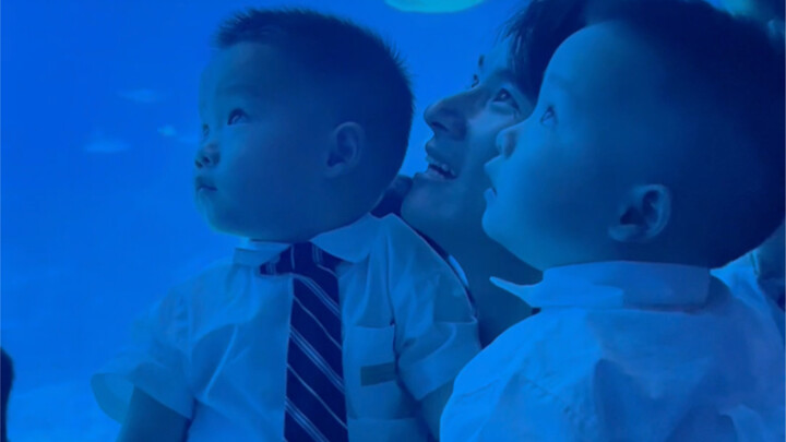 Sudah lihat hiu raksasa sungguhan, jangan bilang kita nggak pernah lihat dunia luas!