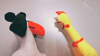 When Scream Chicken Meets Repeat Chicken