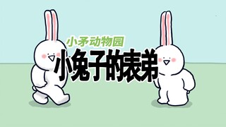 【小矛动物园】小兔子的表弟不一样。