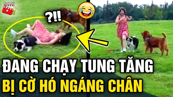 Tin 3 Phút Hài | Tổng hợp tình huống 'HÀI ĐỘNG VẬT' không cười không lấy tiền P53