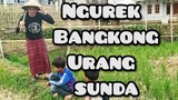 DIWAN & BOCIL ngurek bangkong | komedi indonesia