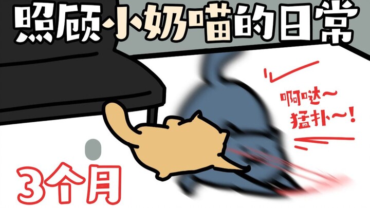 Turn on the full cat-playing mode! I have been taking care of the kitten for 3 months. Although it i