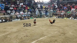 sbr pag nakatanga ka patay ka