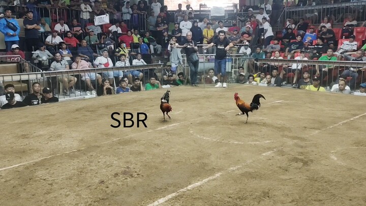 sbr pag nakatanga ka patay ka