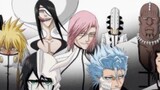 A collection of famous scenes from BLEACH!