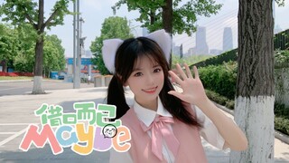 【笑笑】บางทีมันอาจเป็นแค่ข้ออ้าง ❤ ฉันอยากรู้ทุกอย่างเกี่ยวกับคุณ~