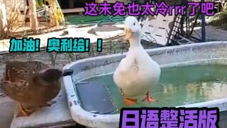 《Suara Dingin Kakak Tua Itu Bergetar rruuee》Versi Jepang yang Lucu