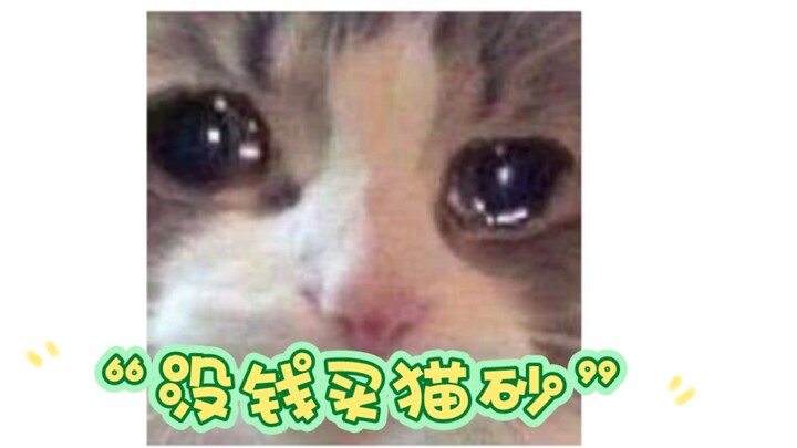 A little girl with no money to buy cat litter has already rescued two kittens.