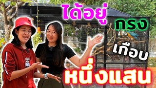 กรงนกอะไร? ราคาเกือบ 100,000 บาท EP.46 (1/2)