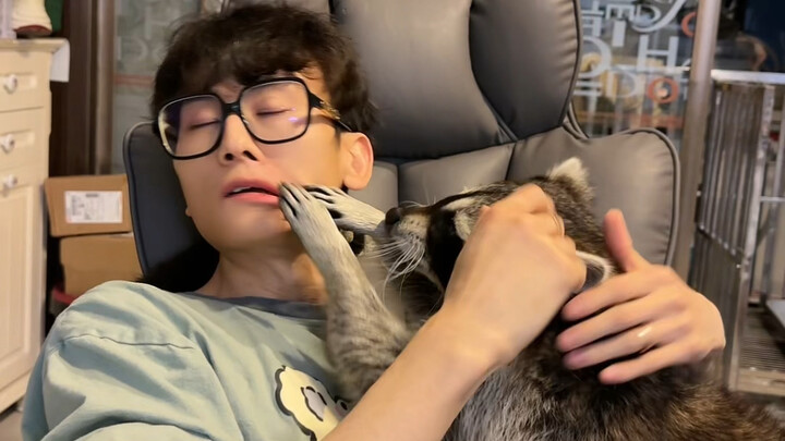 Magic Bear, Magic Bear, who’s the hottest guy you’ve ever seen? #Raccoon #Funny #CutePetDebutProject