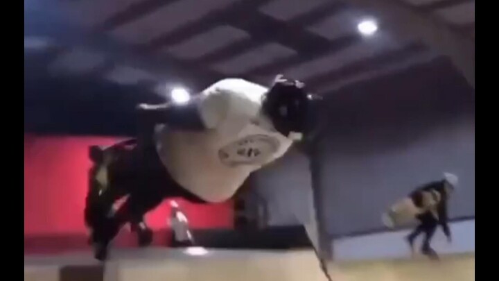 [Earth Creatures’ Hilarious Everyday Life #101]