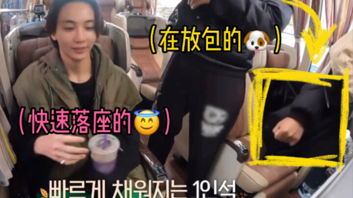 The Soop 2: Adorable Details | The Puppy Whose Seat Was Snatched by an Angel, the Tiger Who Got Caug