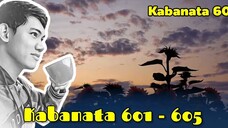 The Pinnacle of Life / Kabanata 601 - 605