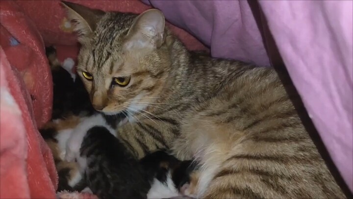 คนไม่รู้ก็คงคิดว่าฉันเป็นพ่อของเด็กนั่นแหละ