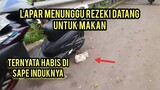 Astagfirullah Anak Kucing Ini Kelaparan Menunggu Makanan Di Jalanan..!