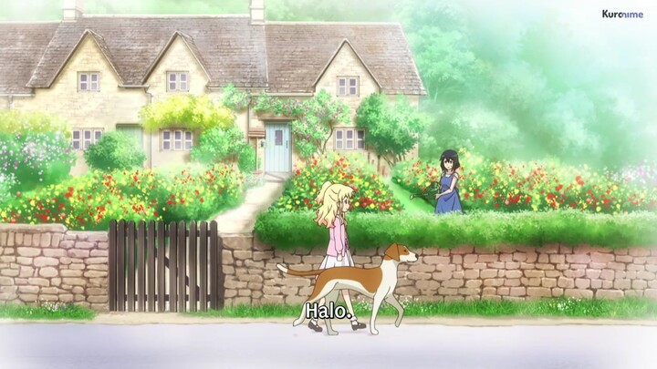 kiniro mosaic thank you