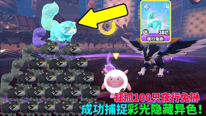 Pesta Telur, Abby yang Ajaib: Berhasil Menangkap 100 Ekor Kelinci Pampas Malam, dan Sukses Mendapatk