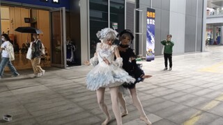 什么!有两只美丽的天鹅出没
