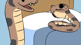 【Natural Habitat Shorts】Chinese subtitles | Hognose snakes turn into dramatic actors and play dead w