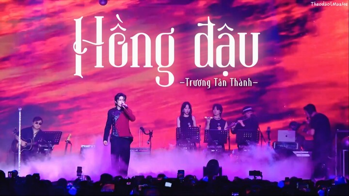 [Vietsub+Kara] Hồng đậu - Trương Tân Thành