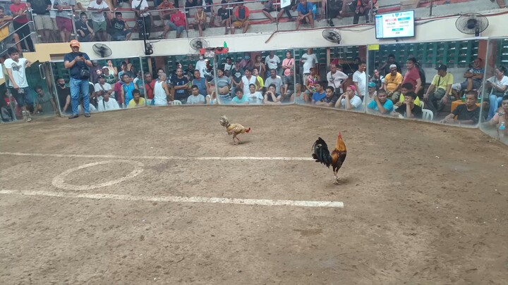 2hits second fight lose