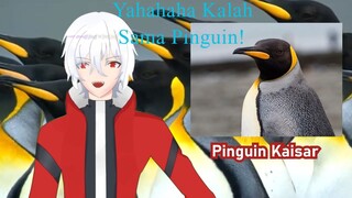 Kalian LDR? Tapi Belum Pernah Ketemu? Malu Sama Pinguin!