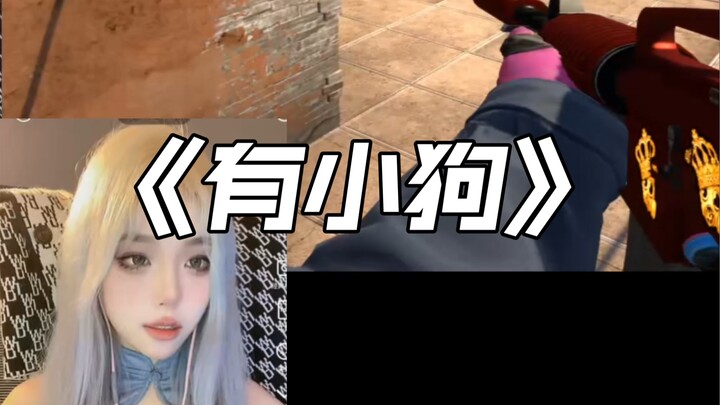 “There Are No CS:GO Female Players—Just Little Dogs”