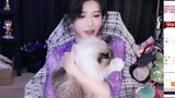 [Sister Douzi] Bisakah kucing membalikkan badan saat jatuh bebas? Hancurkan rumornya!