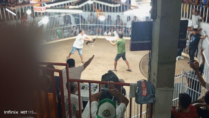 GALLERA D GUBAT 5STAG DERBY