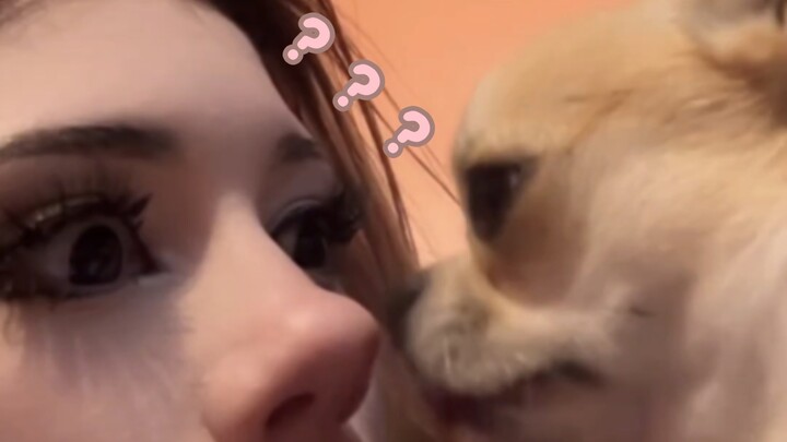 《Đại hội hành vi kỳ lạ của động vật 422》