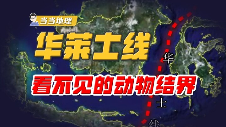 "Benang" yang tak terlihat? Mengapa hewan selalu tak mampu melintasinya? [Geografi Lokal]