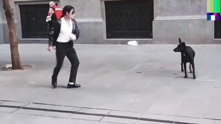 هذه الرحلة الفضائية أذهلت حتى الكلب! ! ! !