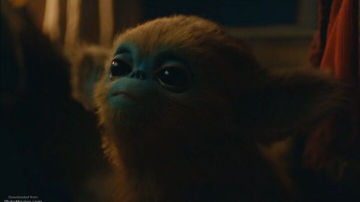 new movie 2025 watch