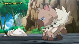 Pokemon Sun & Moon (Ep 36.4) Satoshi x Lychee-san: Đại Thử Thách (phần 4) #PokemonSun&Moon