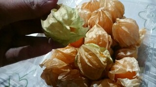 ผลไม้ เคปกูสเบอรี่ บำรุงผิว บำรุงสายตา มีประโยชน์จากโครงการหลวง