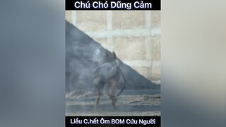 Tên phim: Biệt đội nữ chiến lang xuhuongtiktok phimhay chó_cưng phim bietdoinuchienlang phimtet2022 phimhaymoingay