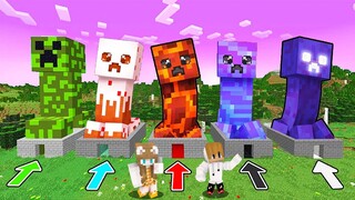 IF YOU CHOOSE THE NICE CREEPER , You won't DIE! Minecraft PE (TAGALOG)