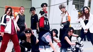 【NCT127】Biểu diễn nhảy ngẫu nhiên | Chương trình lưu diễn toàn quốc đầu tiên của Baddies
