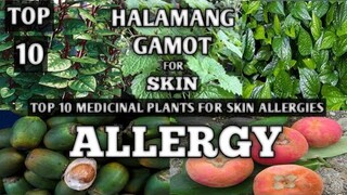 TOP 10 HALAMANG GAMOT SA MGA SKIN ALLERGY || NATURAL AND HOME REMEDIES FOR SKIN ALLERGIES || NATURER