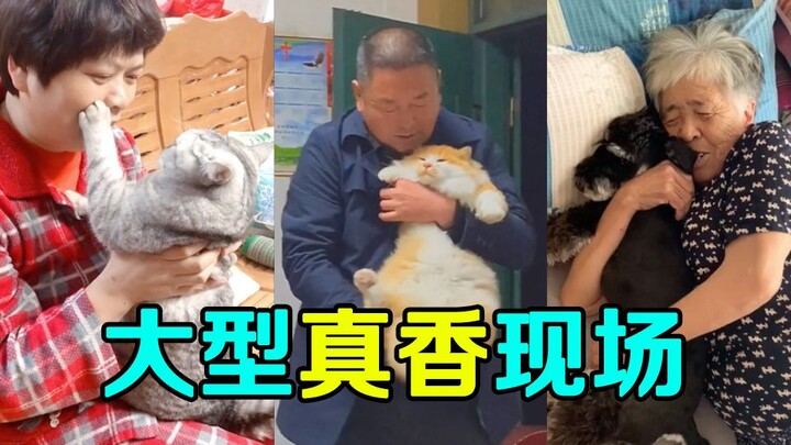 【盘点】当初不让养宠物的父母，大型真香现场！