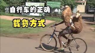 那些动物们的尴尬时刻！