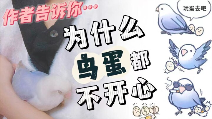 [The Meme Artist Explains] Why Are All the Bird Eggs in These Bird Memes So Down?