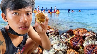 Eating SEA URCHIN Uni Sashimi Raw