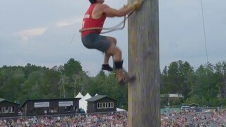 伐木工攀爬速度赛，如履平地，这个体力无敌了